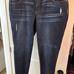 Democracy Dark Indigo Skinny Jeans